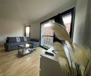 TV, offices - Perfect connected to Downtown, Airport & Highway (Basel)