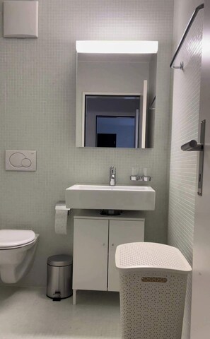 Shower, towels - Perfect connected to Downtown, Airport & Highway (Basel)