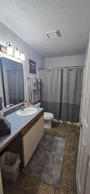 Asciugamani, sapone, carta igienica