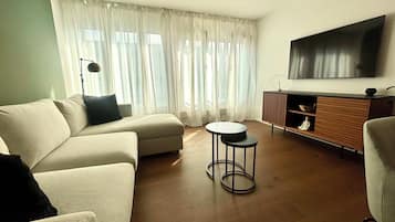 Fernseher, Arbeitsbereiche