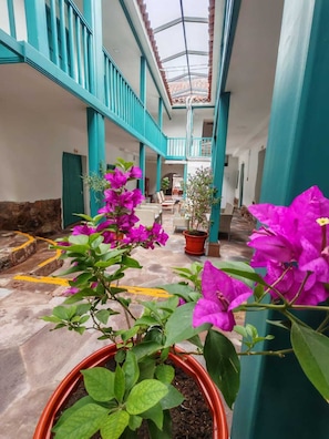 A courtyard with potted plants and a staircase. - Afma Nueva Alta  (Cusco)