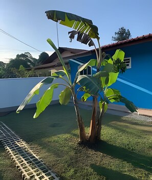 Classic Villa | Exterior detail - Villa Serenitá 3 - Piscina Fogueira (São Francisco do Sul)