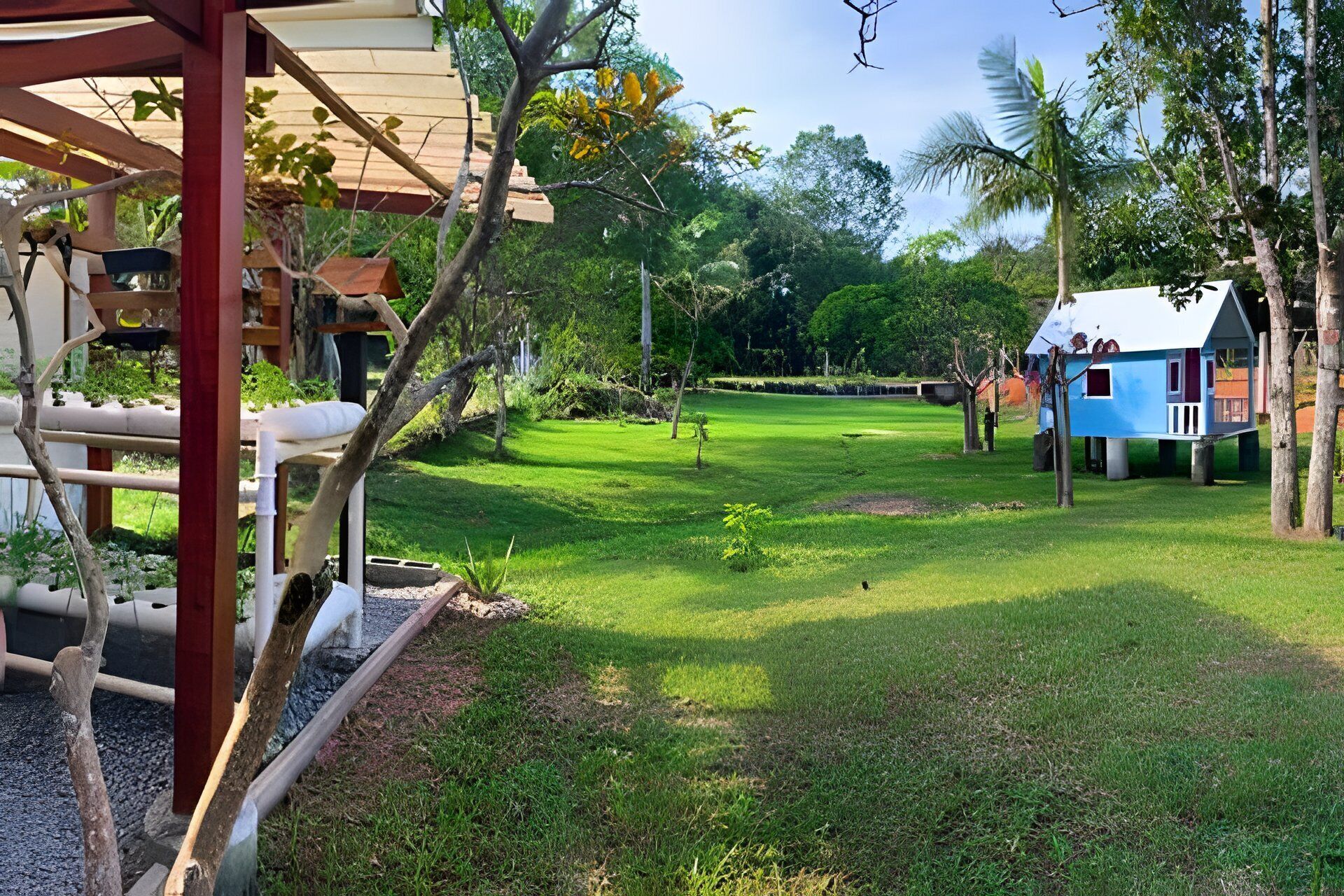 Um jardim bem cuidado com uma casa azul, uma pérgula de madeira e diversas árvores.