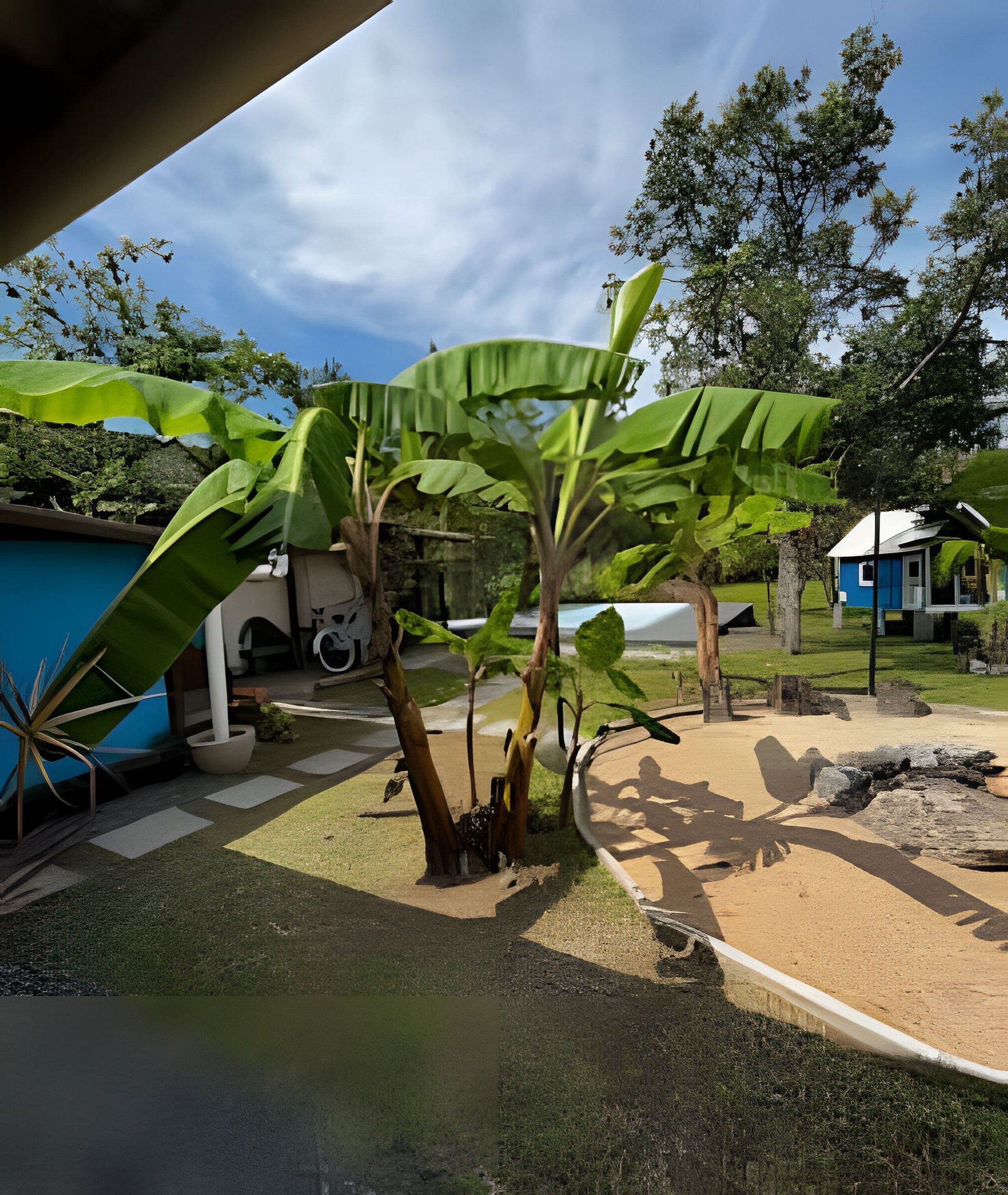 A tropical garden with a swimming pool, a blue house, and a large banana tree.