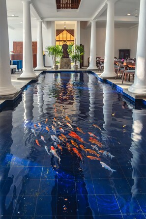 Dining - Luck Nature Villas Habaraduwa Galle (Habaraduwa)