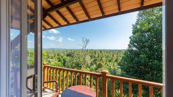 Deluxe-dobbeltværelse - balkon - bjergudsigt | Overnatningsstedets område