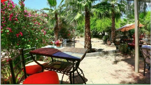 Un espacio al aire libre con patio, mesas y sillas, rodeado de palmeras y plantas con flores.