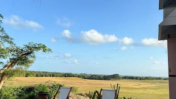 المنطقة المحيطة بالمنشأة