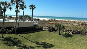 Blick auf einen Strand mit Palmen und einem Poolbereich.