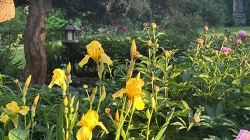 DĂ©tail de lâextĂ©rieur