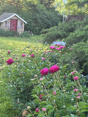 Property grounds - Charming 1-bedroom guesthouse cottage in Merriam, minutes from Kansas City (Merriam)