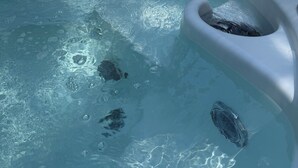 A hot tub with visible bubbles and a wooden structure in the background. - Cute Cozy Cabin (Twain Harte)