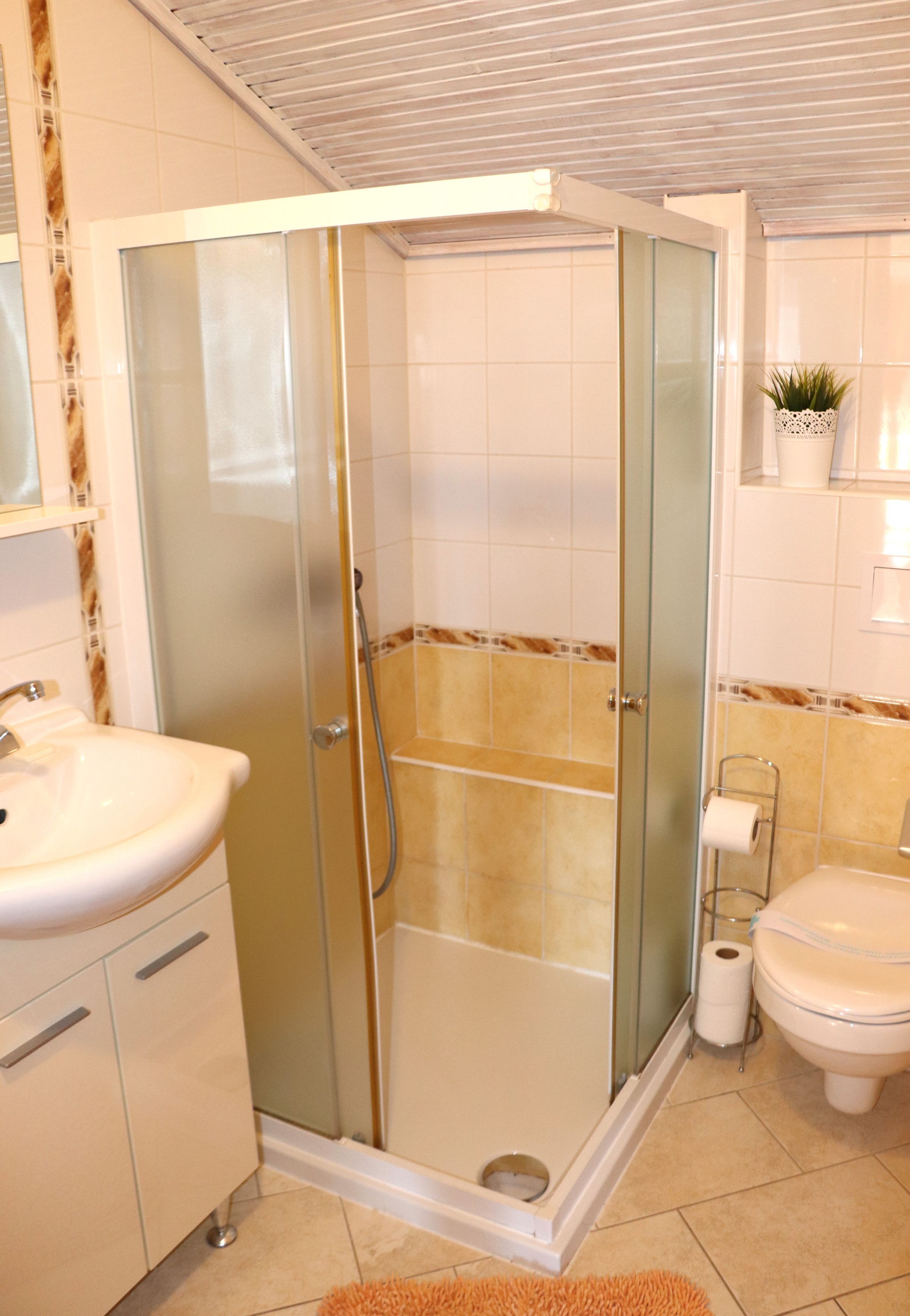 A bathroom with a glass-enclosed shower, a sink, toilet, and a small potted plant on the wall.