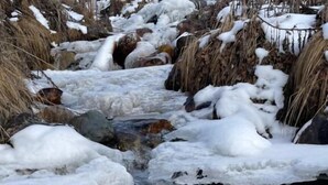 A frozen stream with snow-covered rocks and vegetation. - Guest house River side  (Mestia)