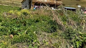 A wooden cabin with a balcony, surrounded by a grassy hillside and trees. - Guest house River side  (Mestia)