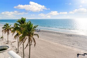 A beach with palm trees, a sandy shore, and a clear view of the ocean. - Beachfront Condo on Bonita Beach  - SeaGlass Shores (Bonita Springs)