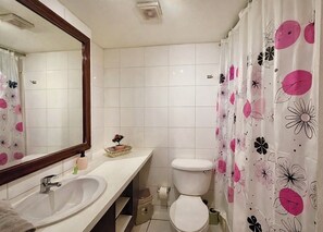 Hair dryer, towels, soap, toilet paper - Bellas Artes and Lastarrias Apartments (Santiago)