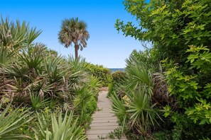 Condo, 1 Queen Bed with Sofa bed (Sea Dunes Nautilus B8) | Property grounds - Sea Dunes Nautilus B8 (New Smyrna Beach)