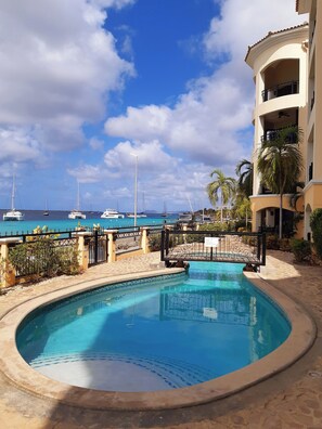Pool - Seafront spacious groundfloor apartment with amazing views (semi longstay) (Kralendijk)