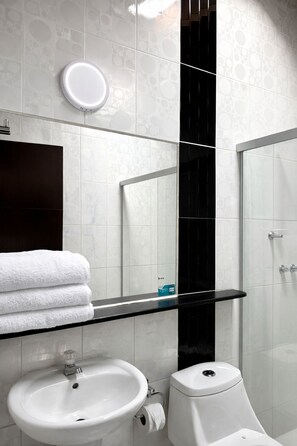 Familiekamer, uitzicht op de stad | Badkamer | Een douche, handdoeken, zeep, toiletpapier