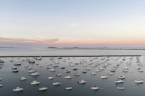 Un puerto deportivo con numerosos barcos amarrados.