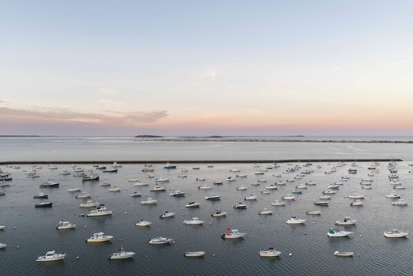 A marina with numerous boats docked. - The Drew Hotel (Plymouth)