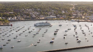 Un port amb nombroses embarcacions i un gran vaixell de creuer amarrat.