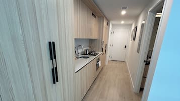 Luxury Studio, City View | Private kitchenette | Full-sized fridge, microwave, oven, dishwasher