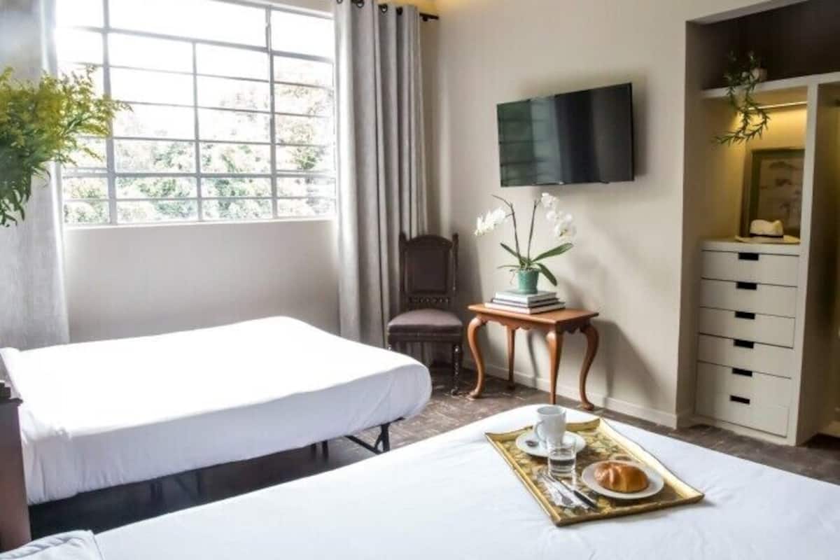 Habitación Deluxe con 2 camas individuales | Caja fuerte, tabla de planchar con plancha, wifi gratis