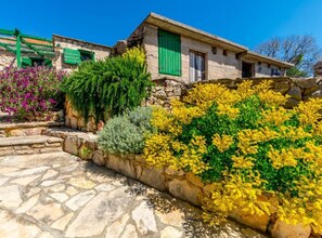 A stone pathway leading to a rustic building with green shutters and a stone wall adorned with yellow and green foliage. - Holiday home Kuzmino - Holiday Home (Primosten)