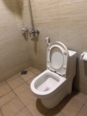 Shower, free toiletries, towels, soap