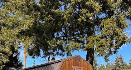 Cozy Sawyer Cabin- near beaches, hiking, Twilight