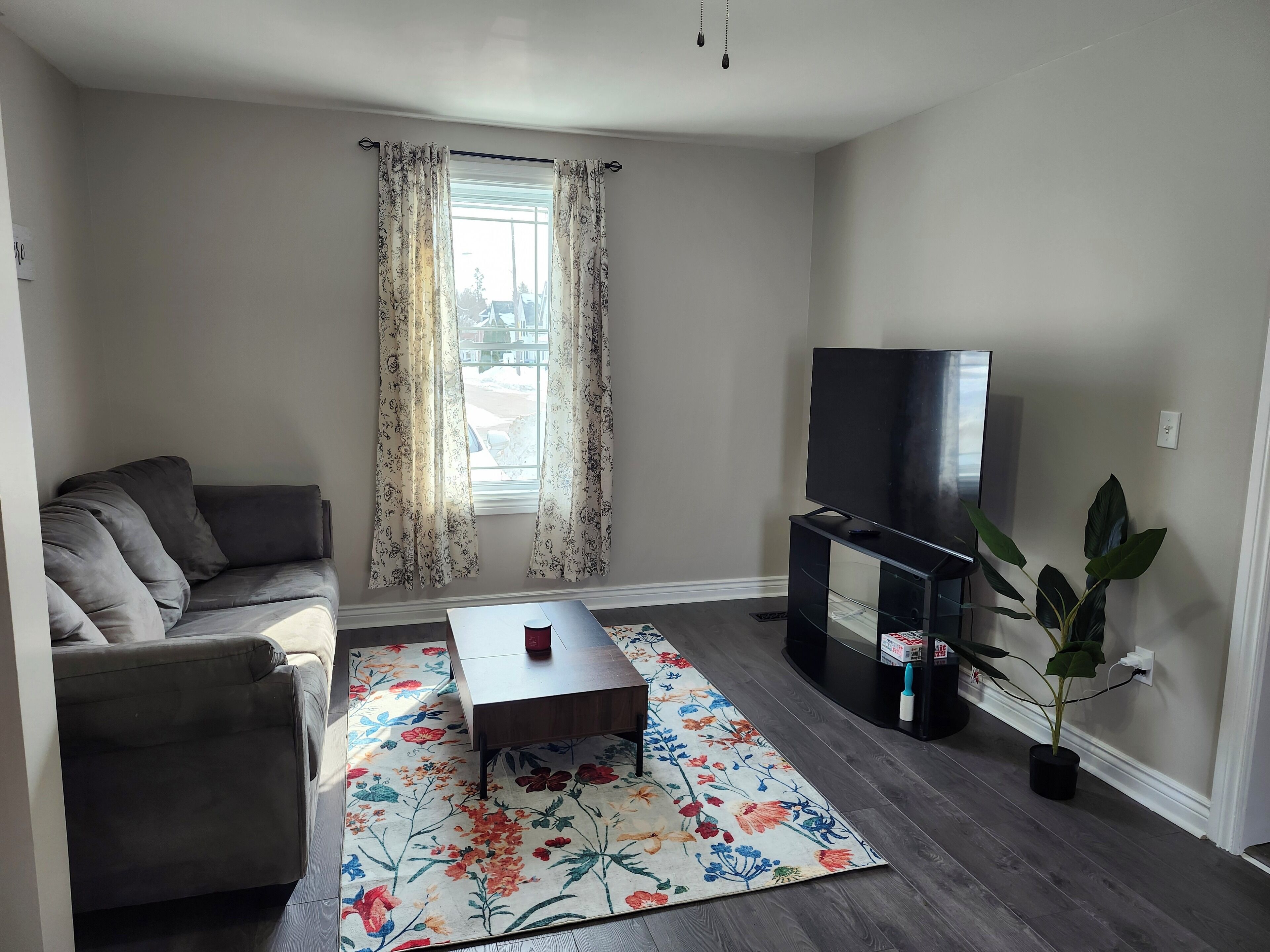 Een woonkamer met een bank, een salontafel, een televisie en een potplant.