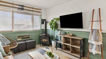 TV, fireplace, books