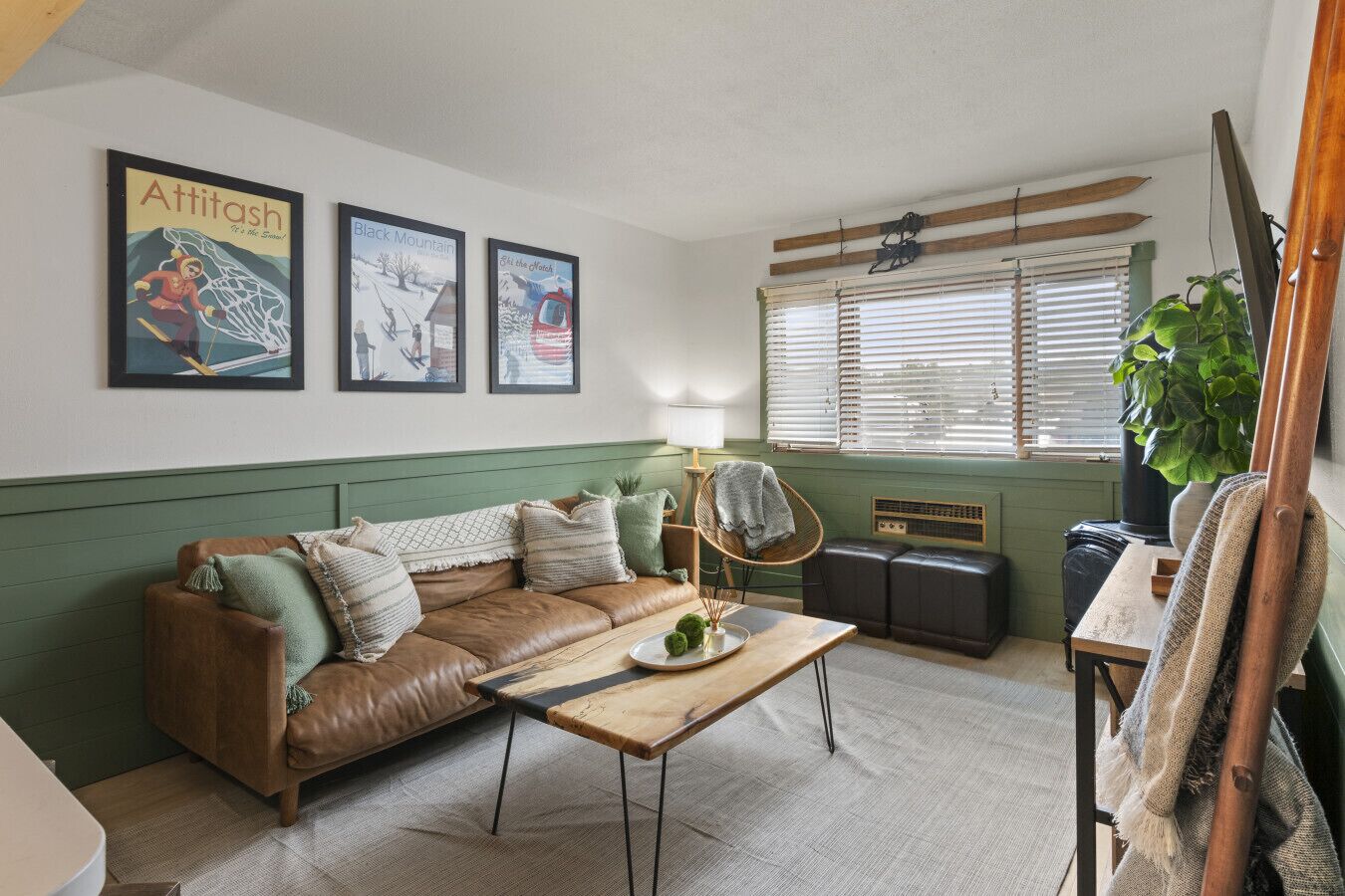 TV, fireplace, books