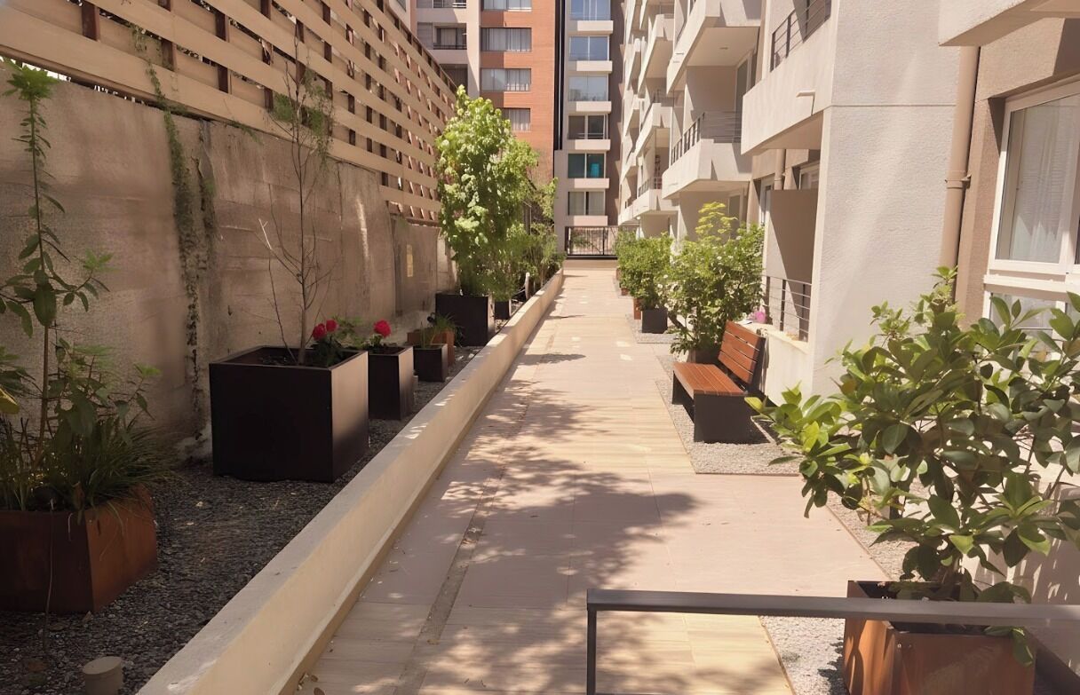 Een smal pad begrensd door potplanten en een betonnen muur.