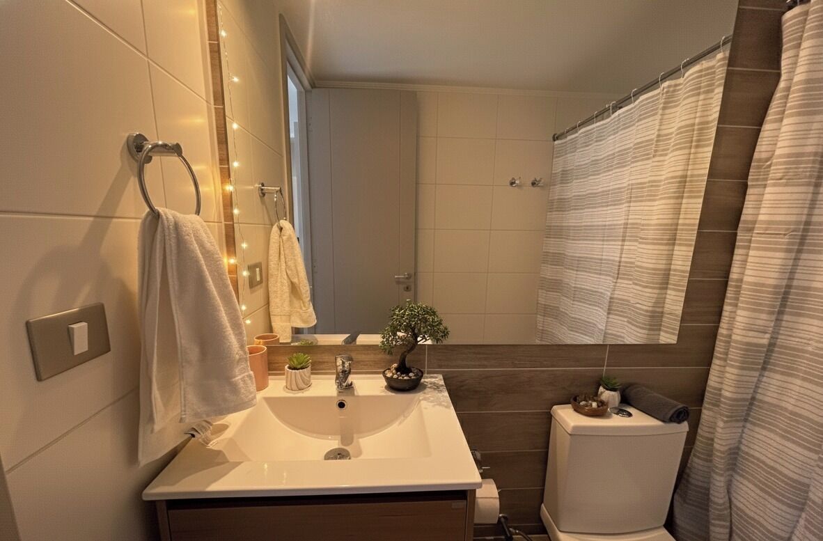A modern bathroom with a white sink, a small potted plant, and a toilet.