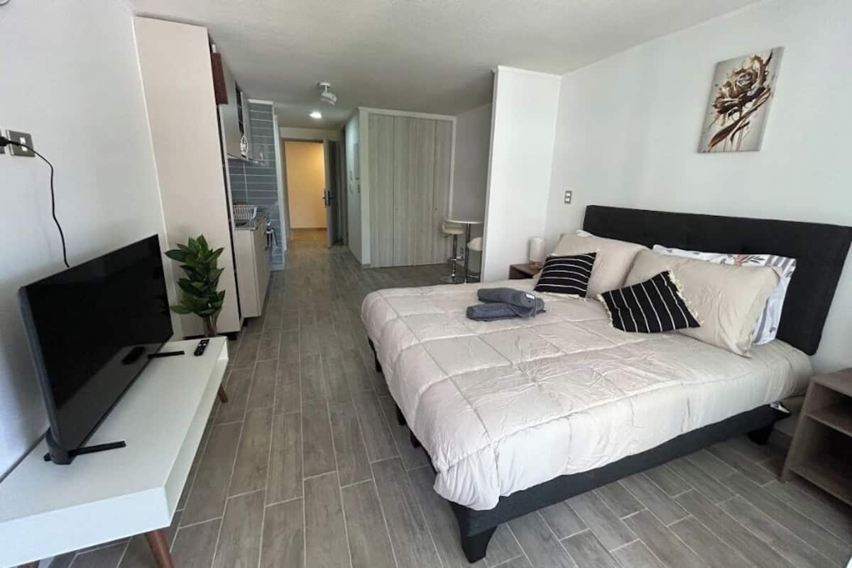 Een moderne slaapkamer met een bed, een televisie en een plant.