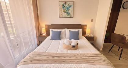 Domus Eco España Domeyko