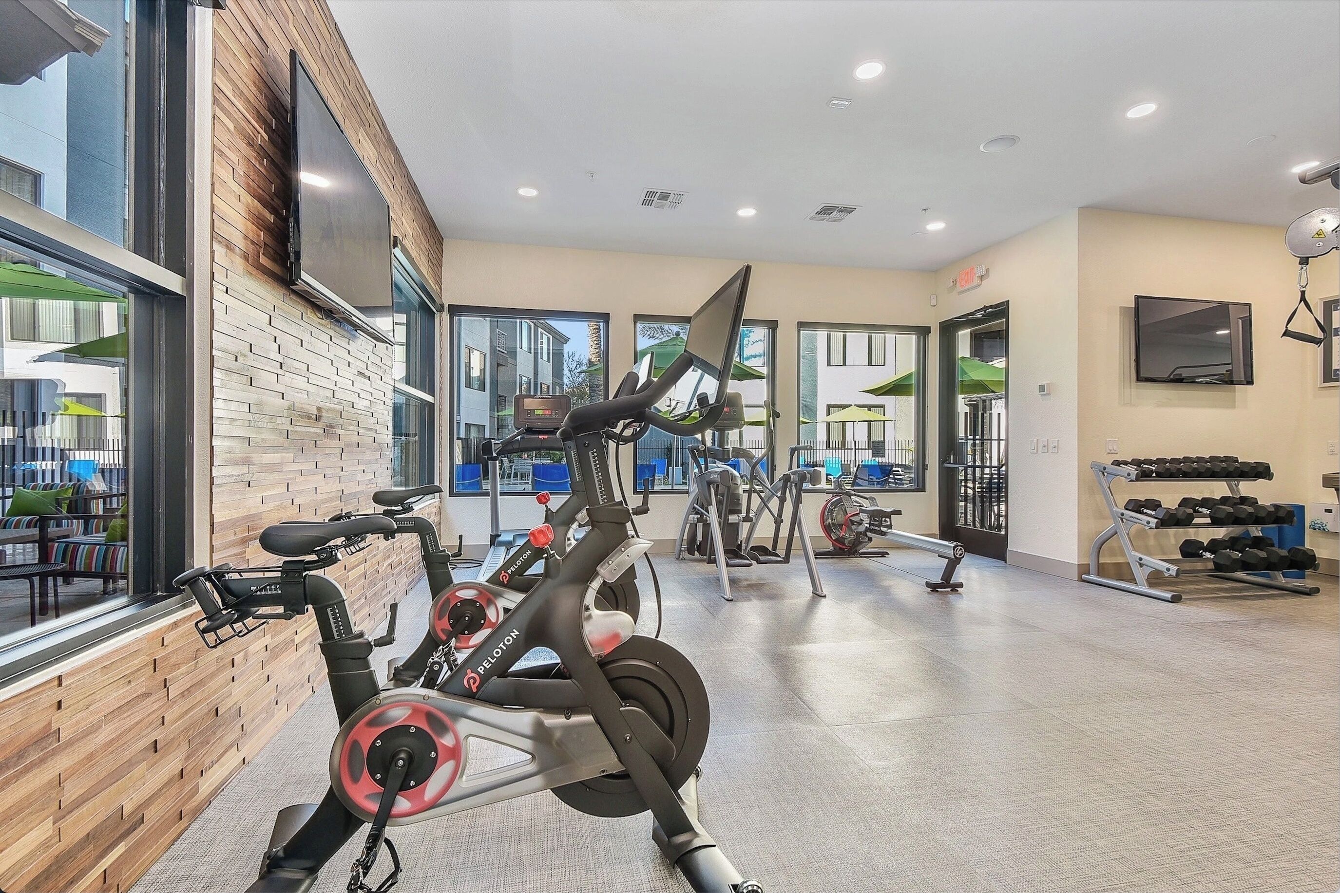Une salle de sport équipée de vélos d’appartement, d’un tapis de course et d’un porte-haltères.