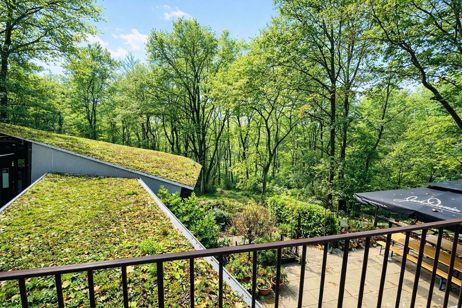 Deluxe Single Room, Balcony, Garden View | Property grounds