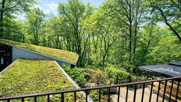 A rooftop garden with a curved structure, surrounded by lush greenery and trees. - Silvio-Gesell-Tagungsstätte (Wuppertal)