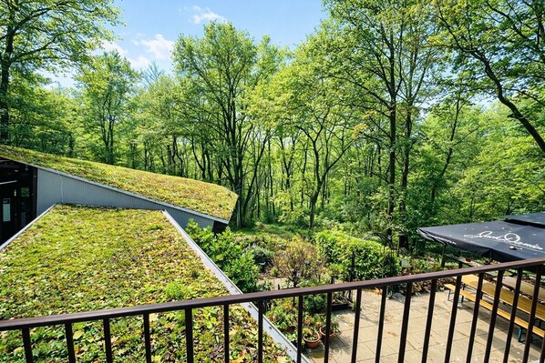 Deluxe Single Room, Balcony, Garden View | Property grounds