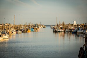 Marina - Le Nid des Hérons Your serene refuge in Bretignolles-sur-Mer (Bretignolles-sur-Mer)