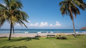 Ein Strand mit Palmen, einer Bank und freiem Blick auf den Ozean.