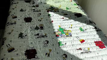 2 bedrooms, iron/ironing board, internet