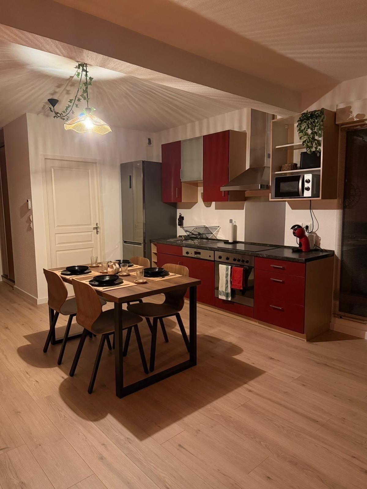 Een microgolfoven, een oven, een kookplaat, een vaatwasser