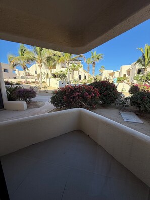 Property grounds - Spacious 2BR 2BA Beachfront Walk-Out Condo in Terrasol Resort, Cabo San Lucas (Cabo San Lucas)