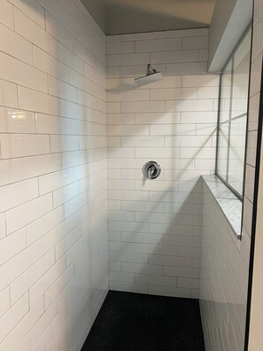 Shower, towels, soap, toilet paper - Amazing Loft with Plants, Art, & Natural Sunlight. (Rochester)