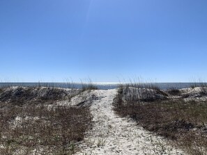 Beach nearby - Sea Oats Oceanfront dog friendly 4 br home (Ocean Isle Beach)